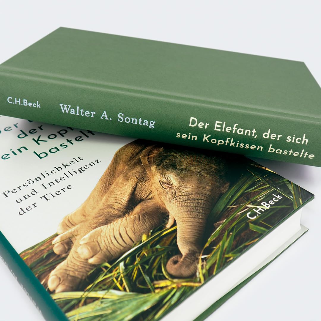 c-h-beck-der-elefant-der-sich-sein-kopfkissen-bastelte-tierwissen-paperback image 8