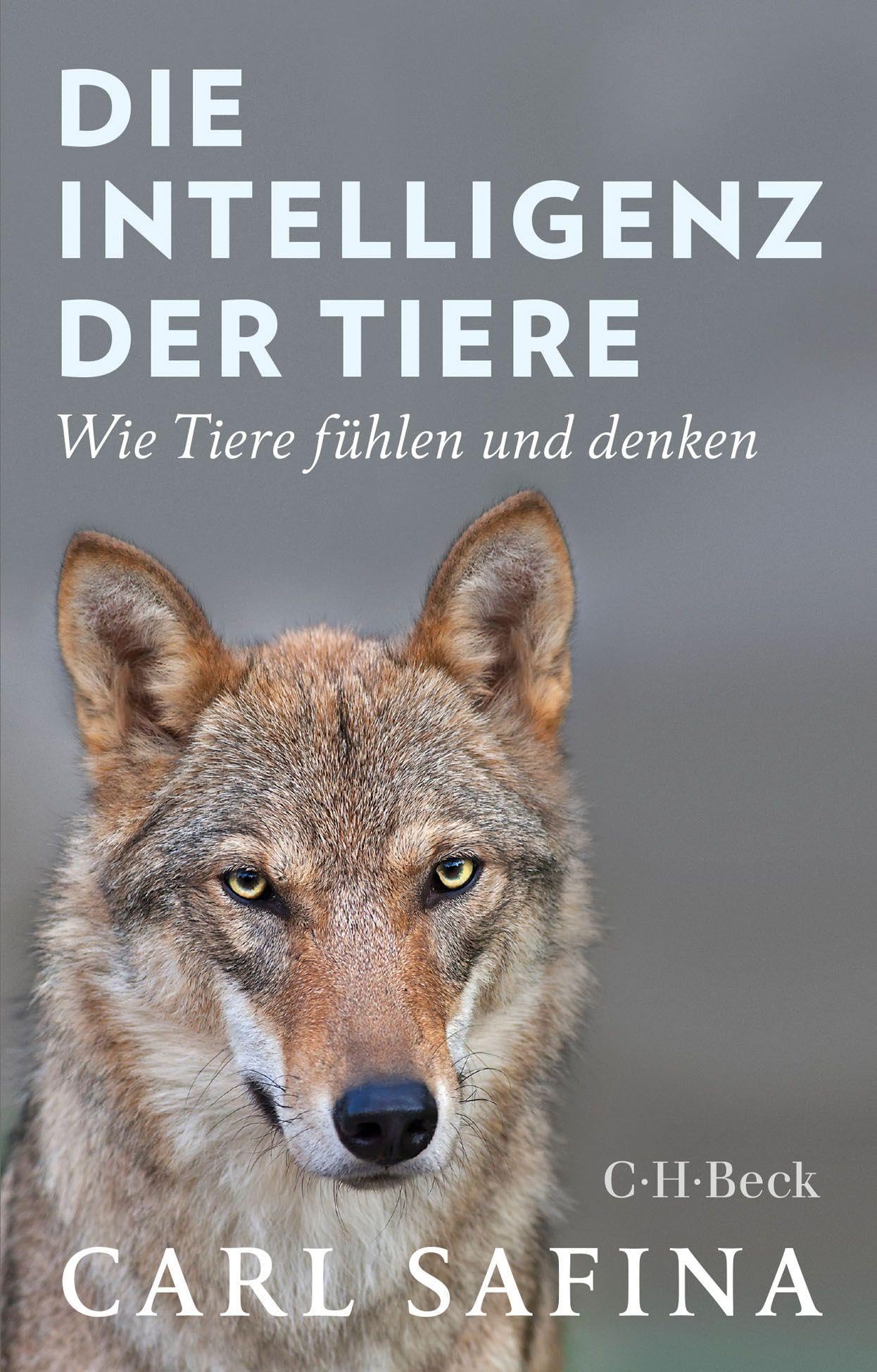 c-h-beck-die-intelligenz-der-tiere-wie-tiere-f-hlen-und-denken-beck-paperback image 1