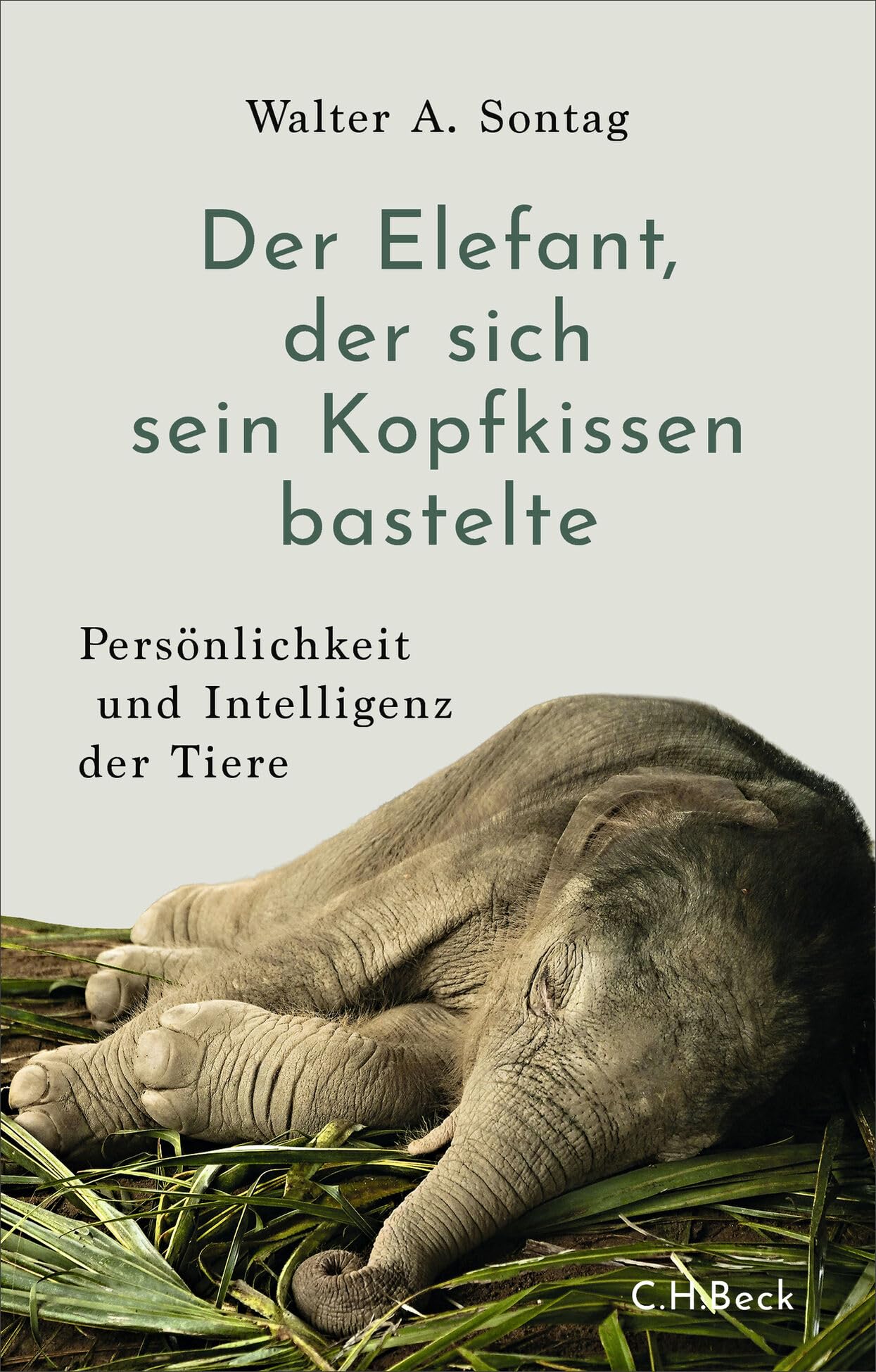 c-h-beck-der-elefant-der-sich-sein-kopfkissen-bastelte-tierwissen-paperback image 1