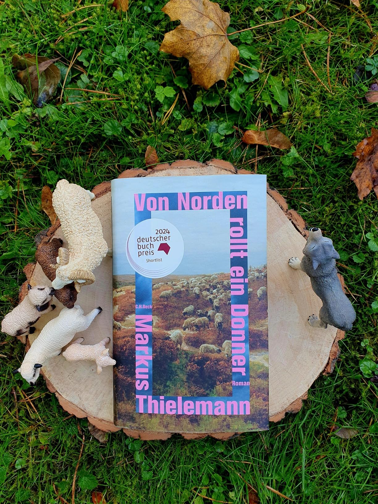 Verdient auf der Shortlist