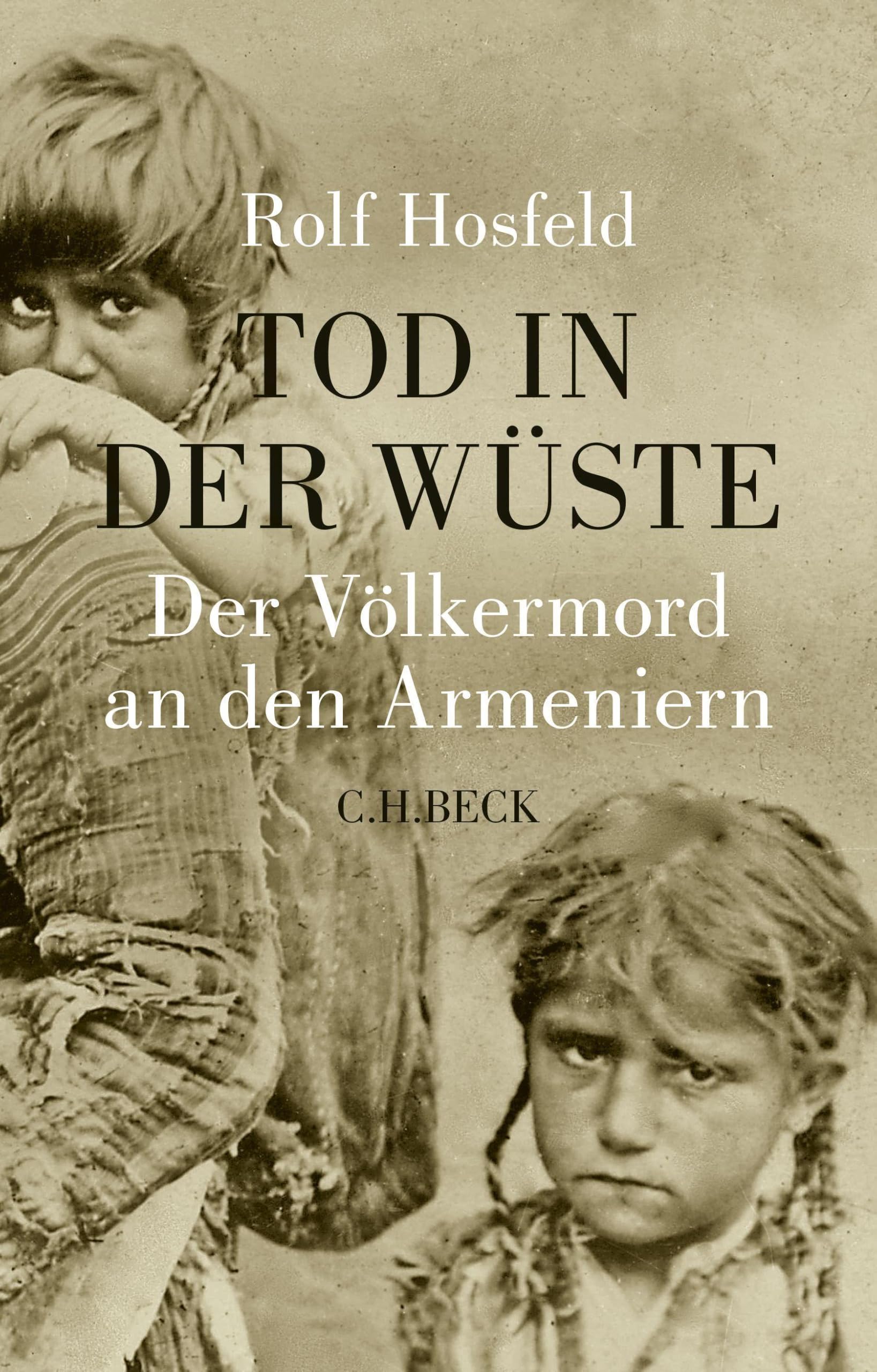 c-h-beck-tod-in-der-w-ste-der-v-lkermord-an-den-armeniern-fundierte-darstellung- image 1