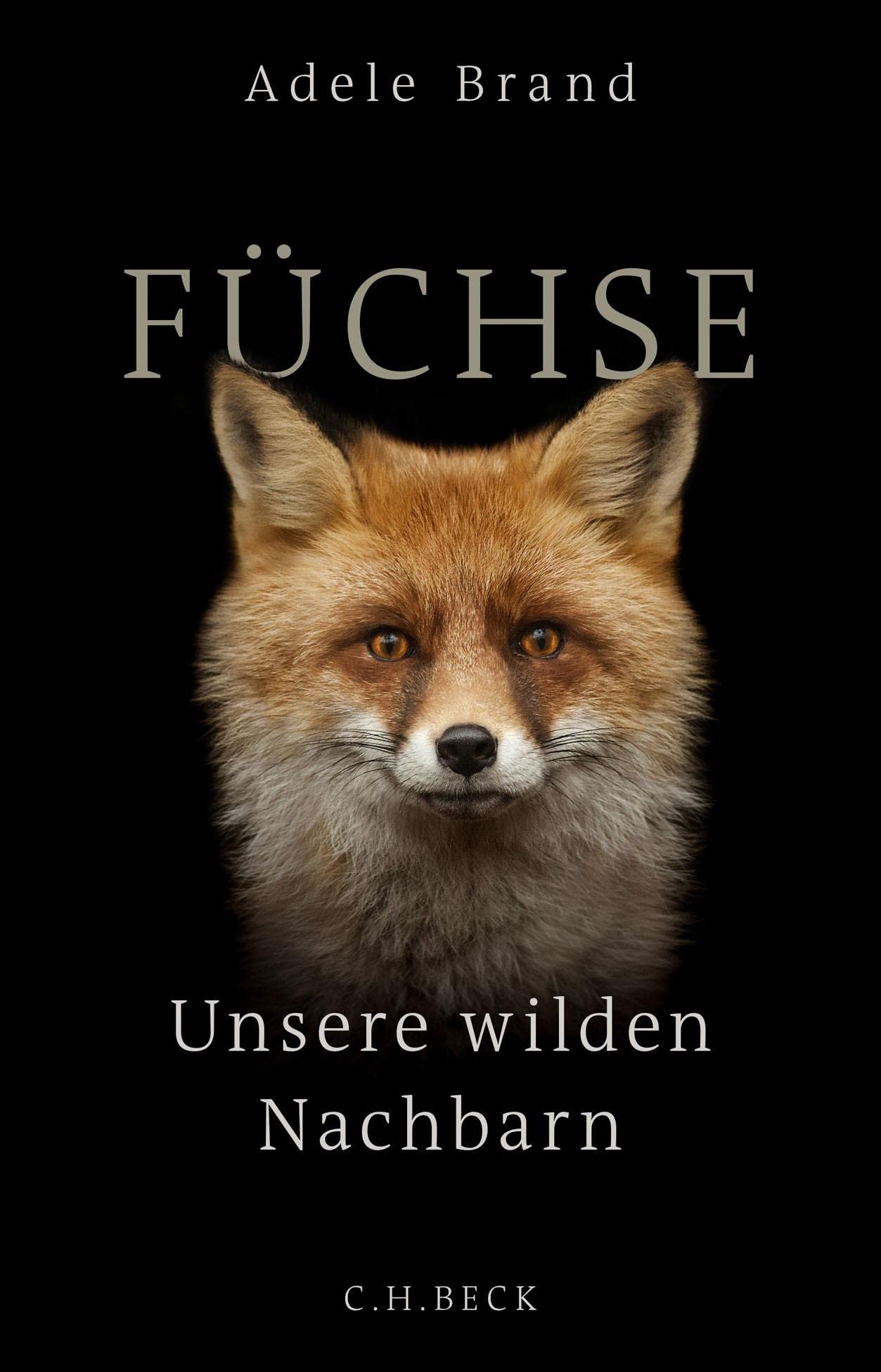 c-h-beck-f-chse-unsere-wilden-nachbarn-c-h-beck-paperback image 1