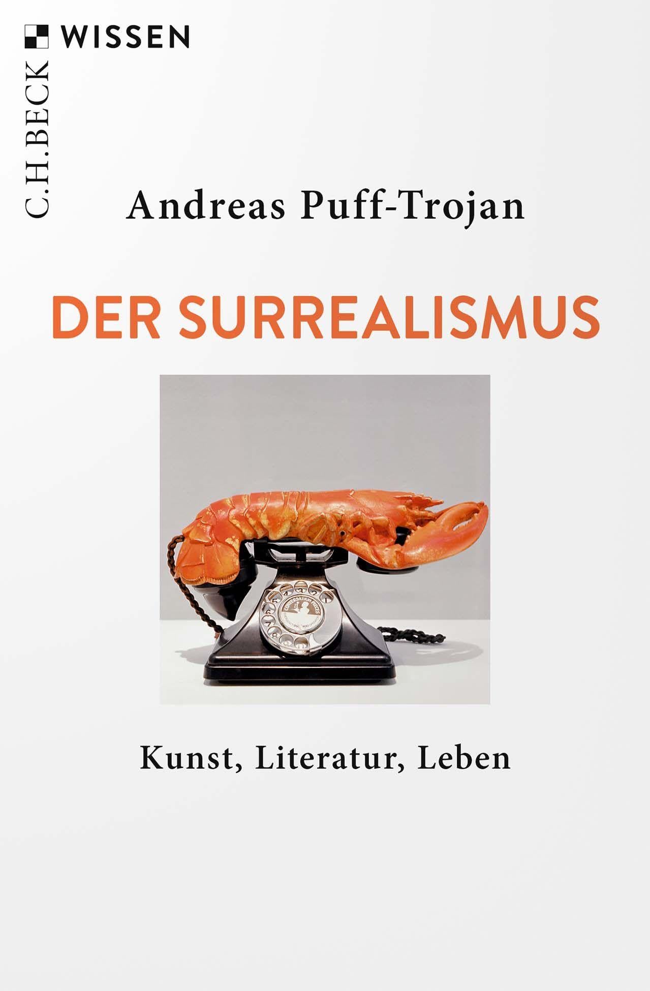 c-h-beck-der-surrealismus-kunst-literatur-leben-c-h-beck-wissen-taschenbuch image 1