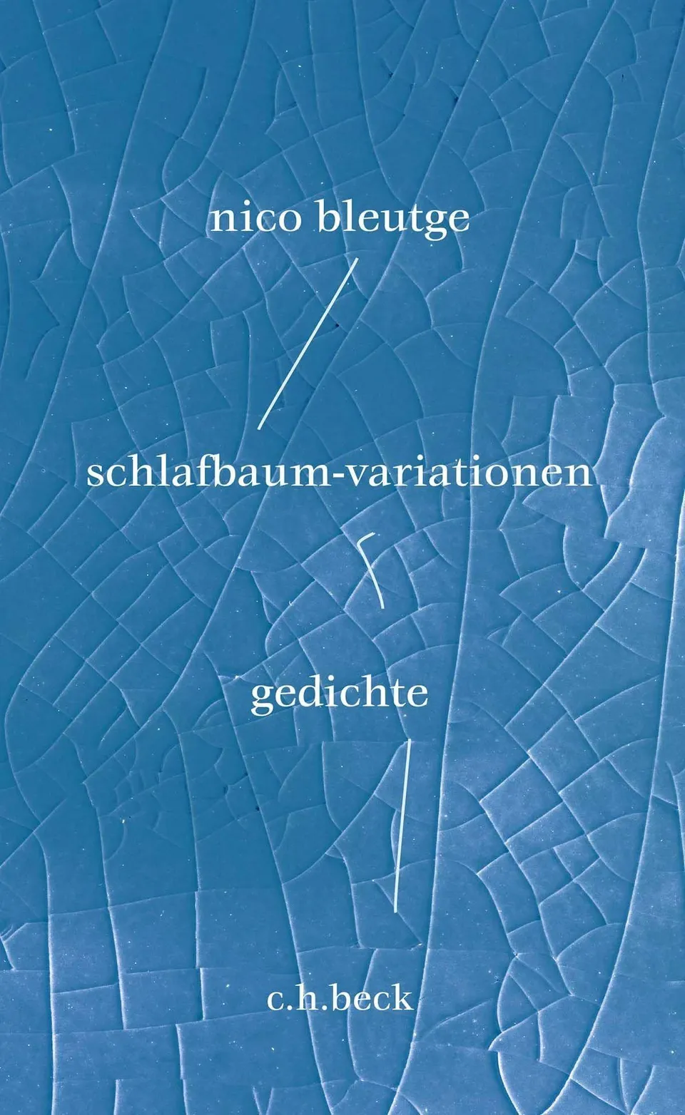 c-h-beck-schlafbaum-variationen-gedichte-paperback image 1