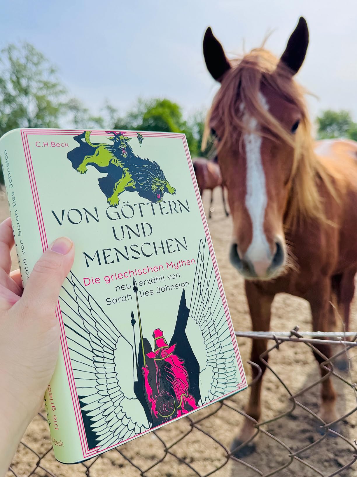 Wunderschöne Ausgabe