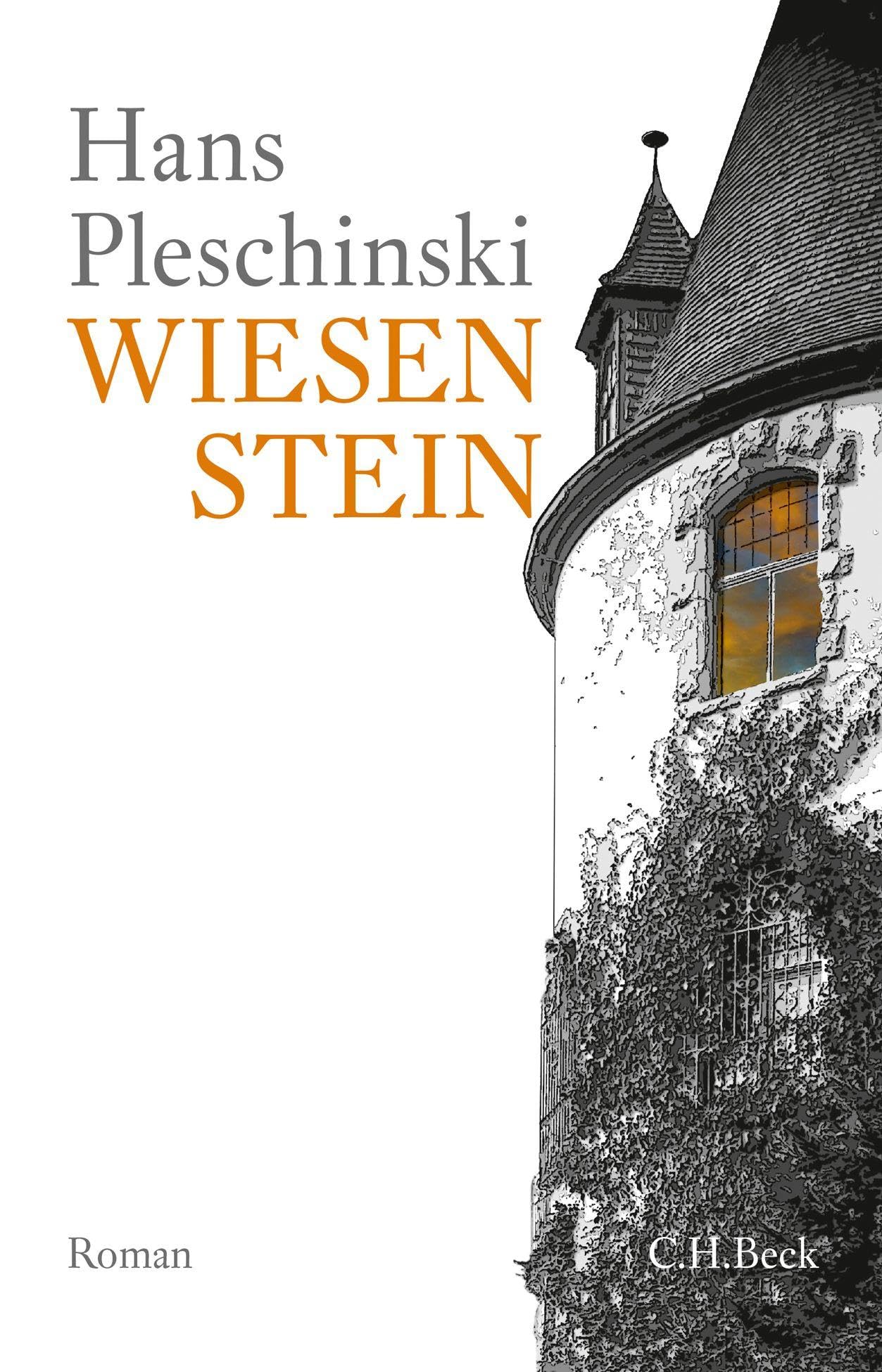 c-h-beck-wiesenstein-roman-taschenbuch image 1