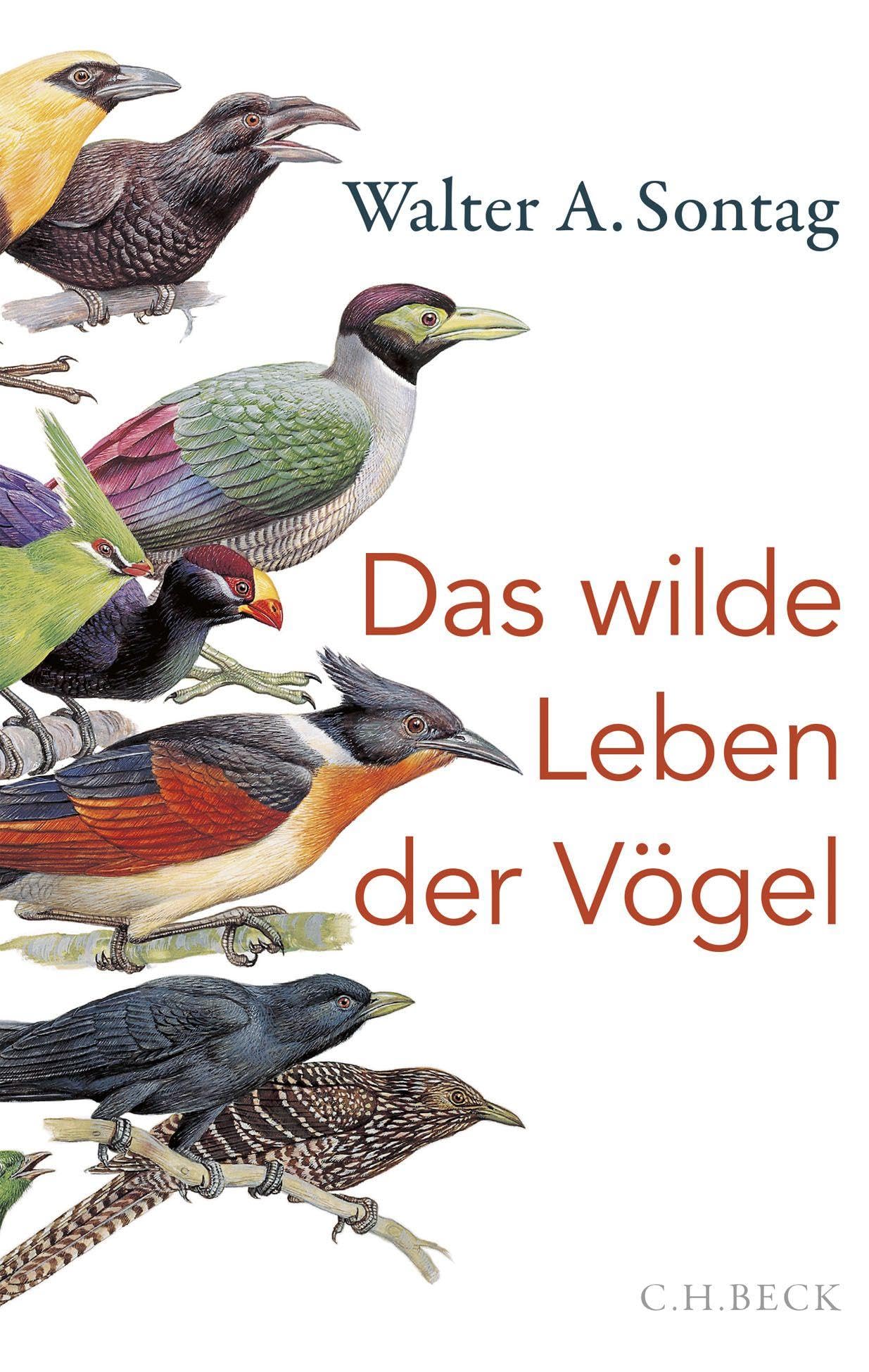 c-h-beck-das-wilde-leben-der-v-gel-taschenbuch-paperback-nachtschw-rmer-kuckuck- image 1