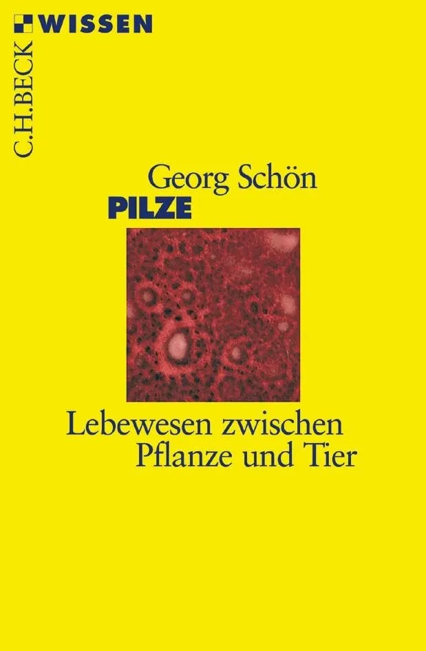 c-h-beck-pilze-buch-lebewesen-zwischen-pflanze-und-tier-c-h-beck-wissen image 1