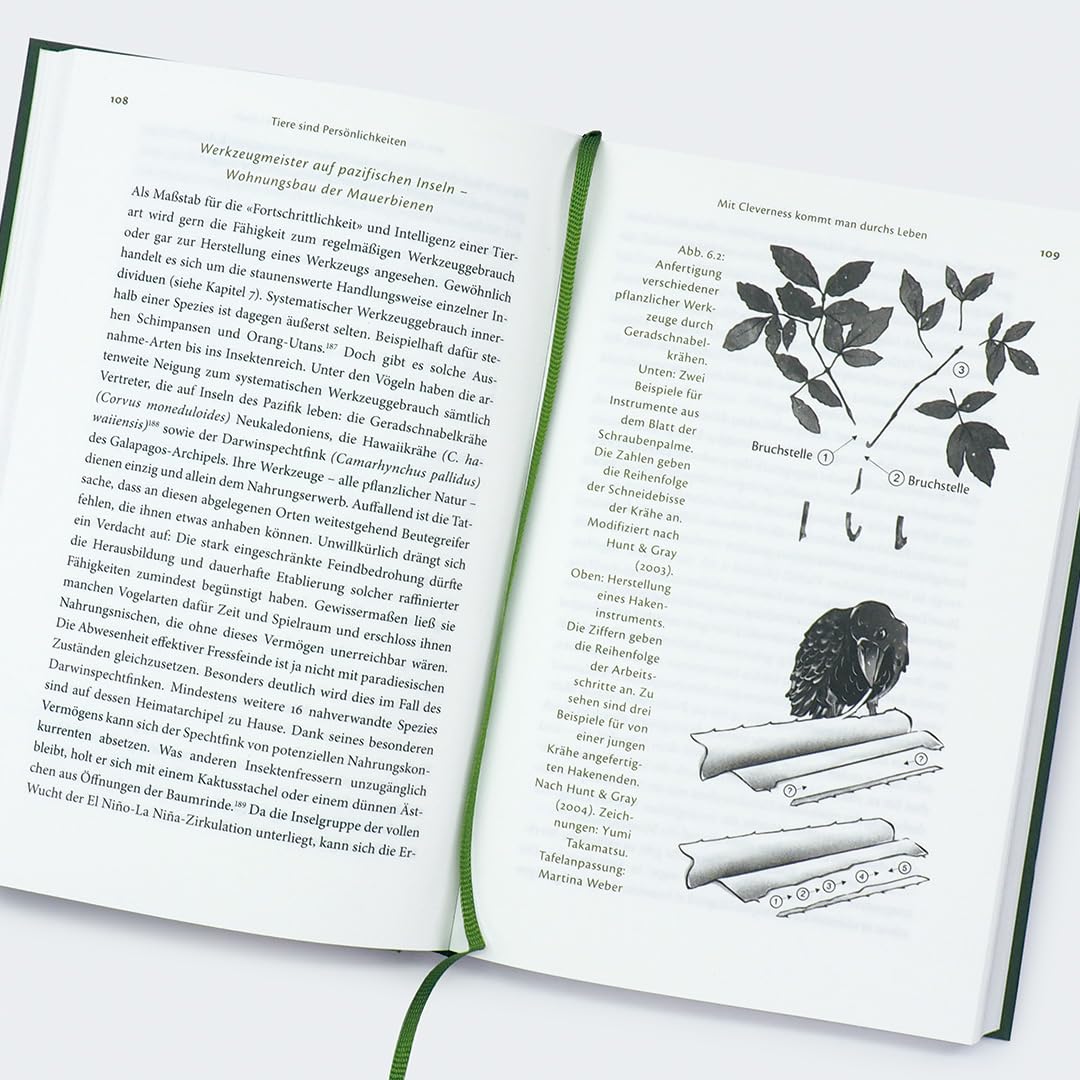 c-h-beck-der-elefant-der-sich-sein-kopfkissen-bastelte-tierwissen-paperback image 5