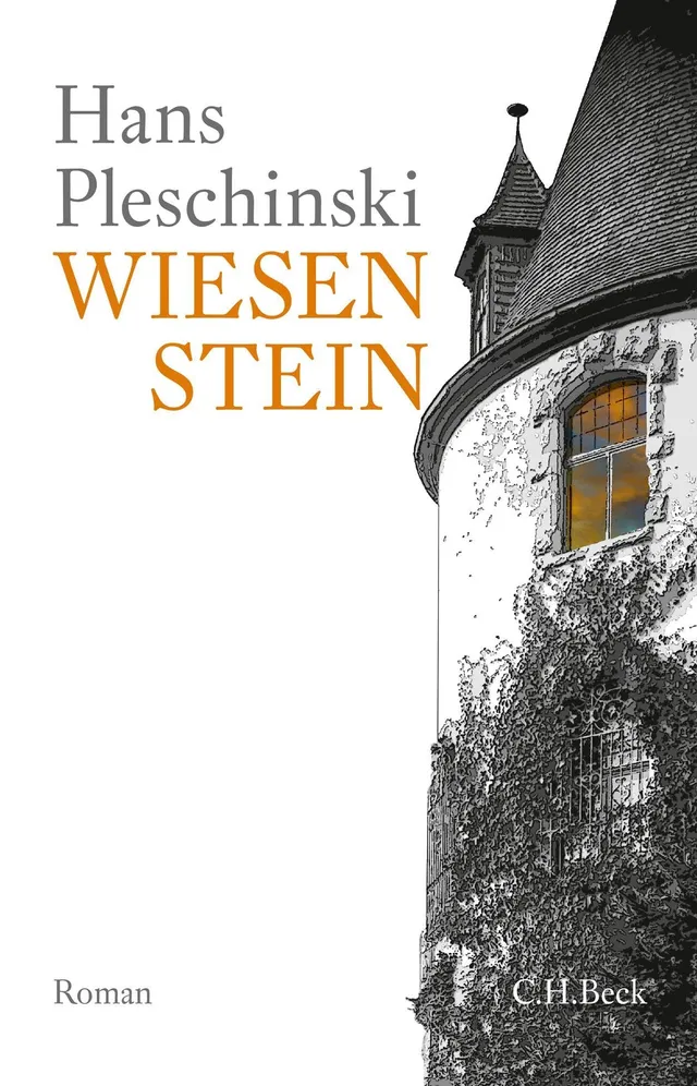 c-h-beck-wiesenstein-roman-taschenbuch image 1