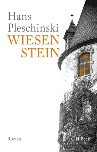 c-h-beck-wiesenstein-roman-taschenbuch image 2