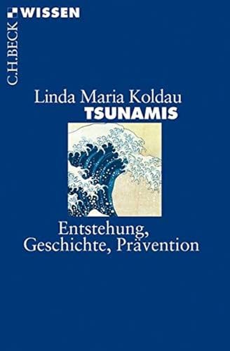 c-h-beck-tsunamis-entstehung-geschichte-pr-vention-c-h-beck-wissen image 2