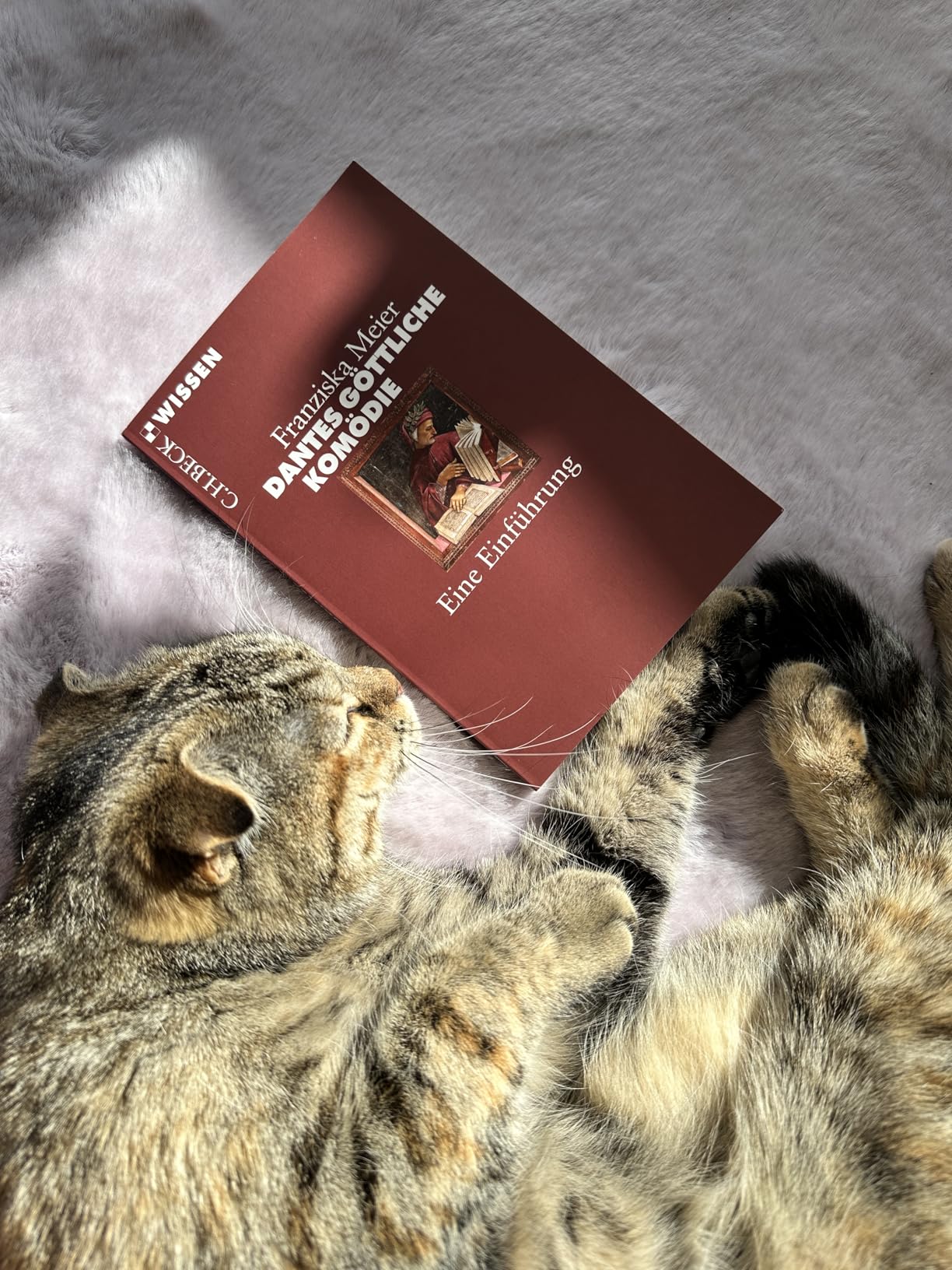 Perfekte Begleitung zur Lektüre