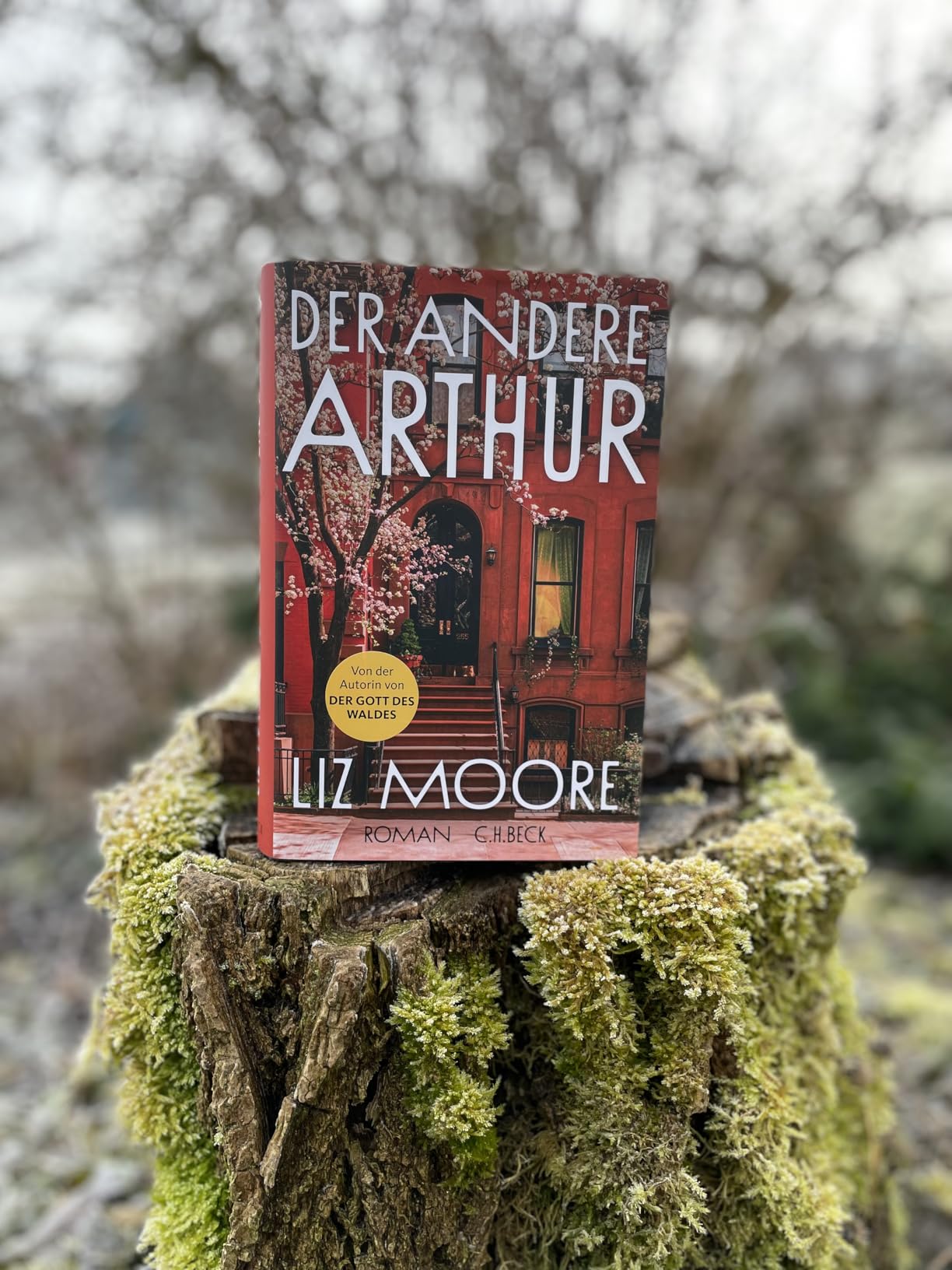 Mir zu ruhig