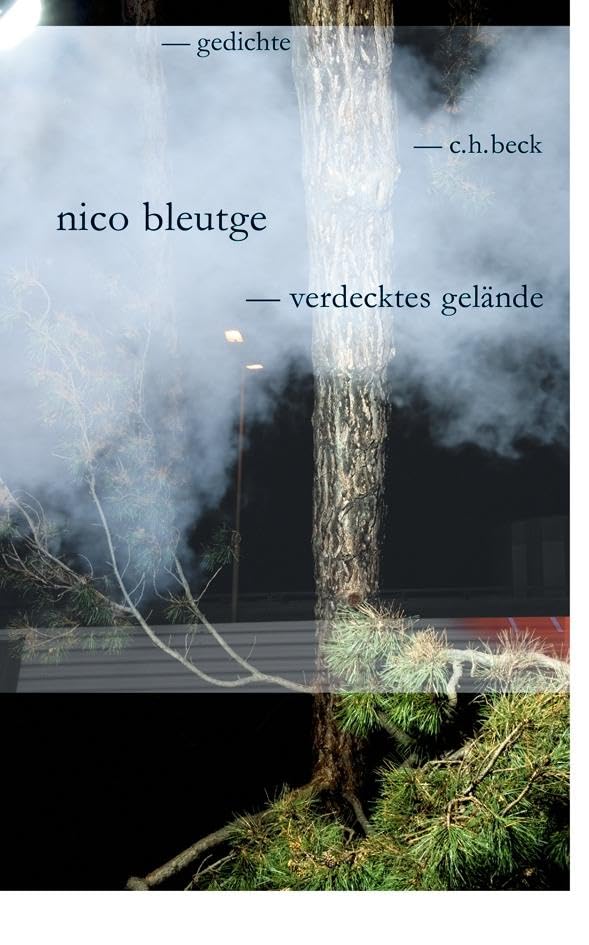 c-h-beck-verdecktes-gel-nde-gedichte-gedichtband-paperback image 1