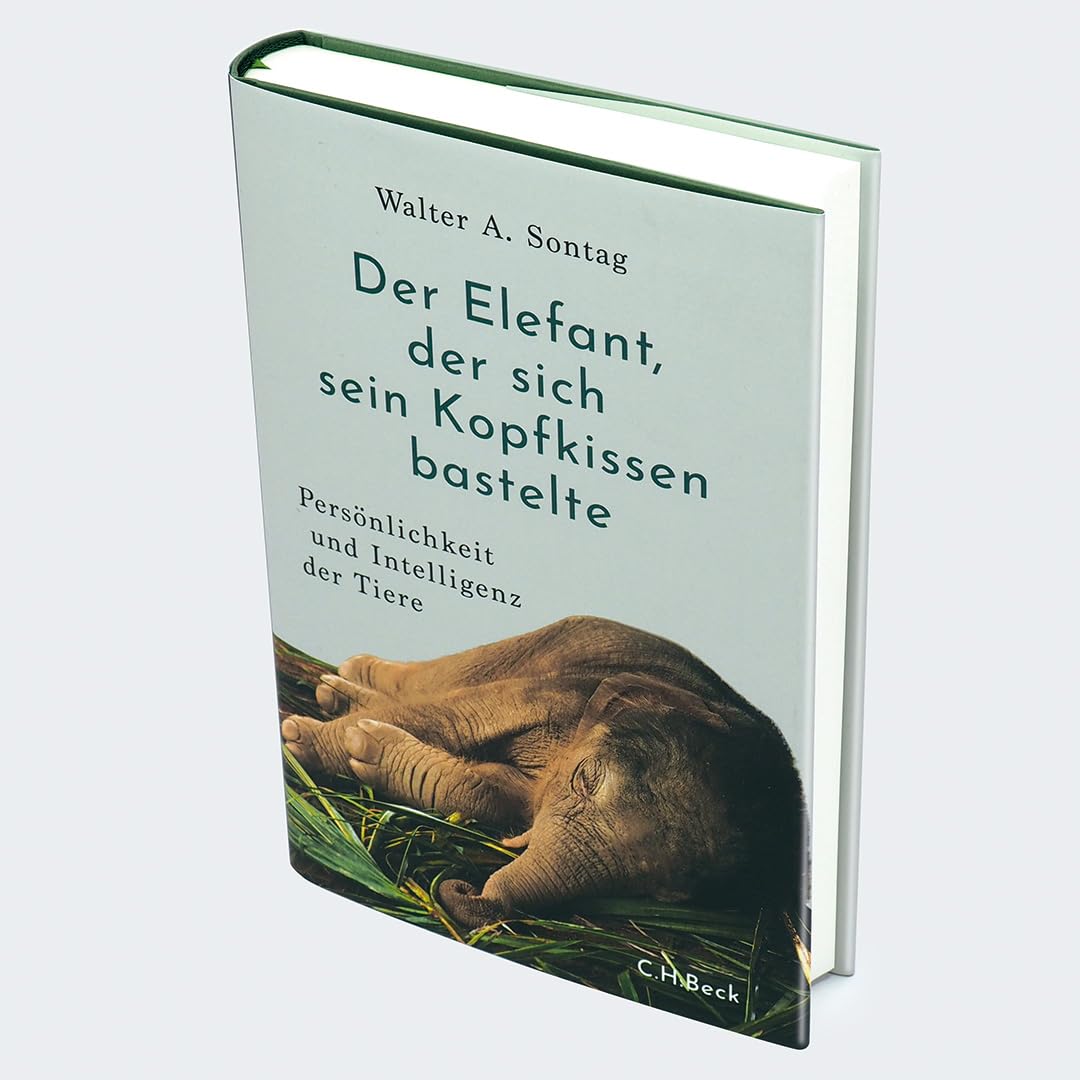 c-h-beck-der-elefant-der-sich-sein-kopfkissen-bastelte-tierwissen-paperback image 2