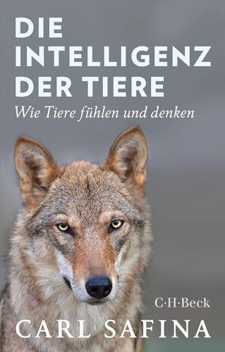 c-h-beck-die-intelligenz-der-tiere-wie-tiere-f-hlen-und-denken-beck-paperback image 2