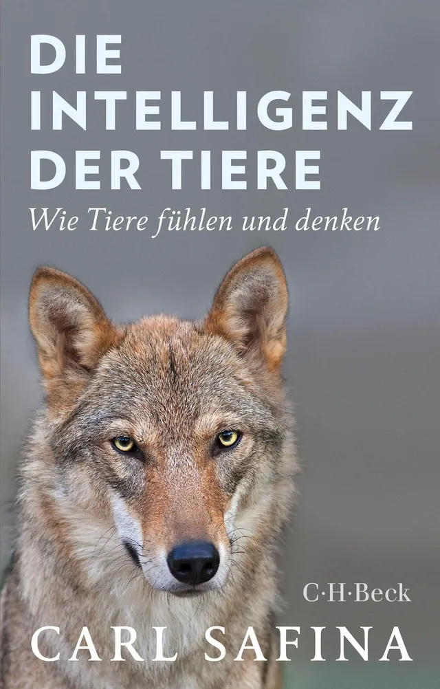 c-h-beck-die-intelligenz-der-tiere-wie-tiere-f-hlen-und-denken-beck-paperback image 1