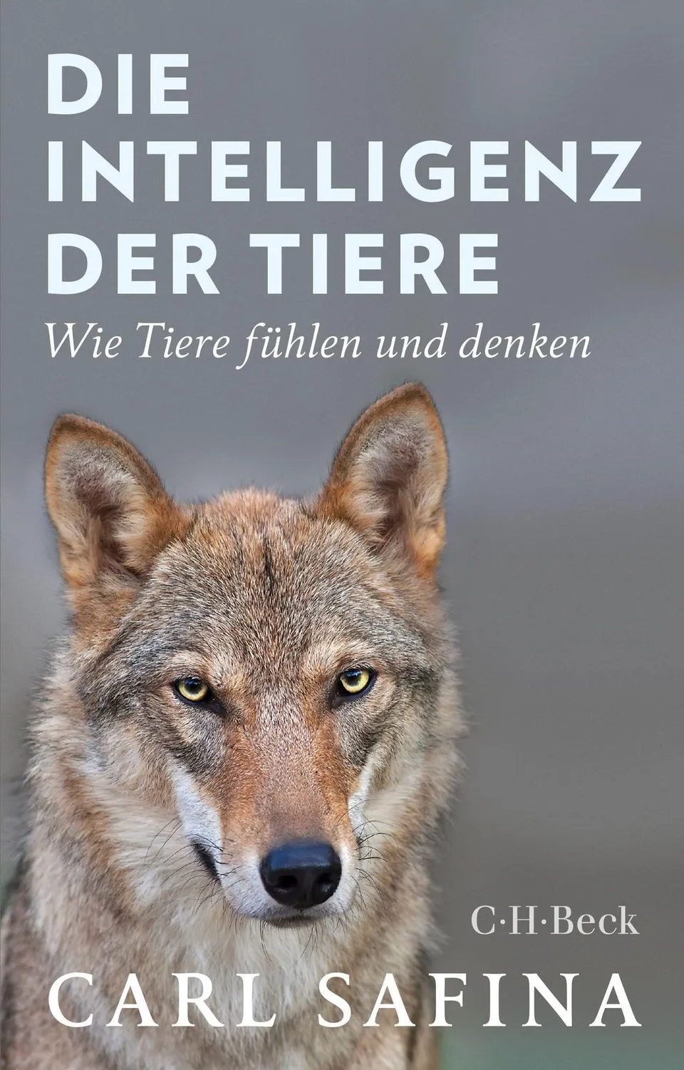 c-h-beck-die-intelligenz-der-tiere-wie-tiere-f-hlen-und-denken-beck-paperback image 1
