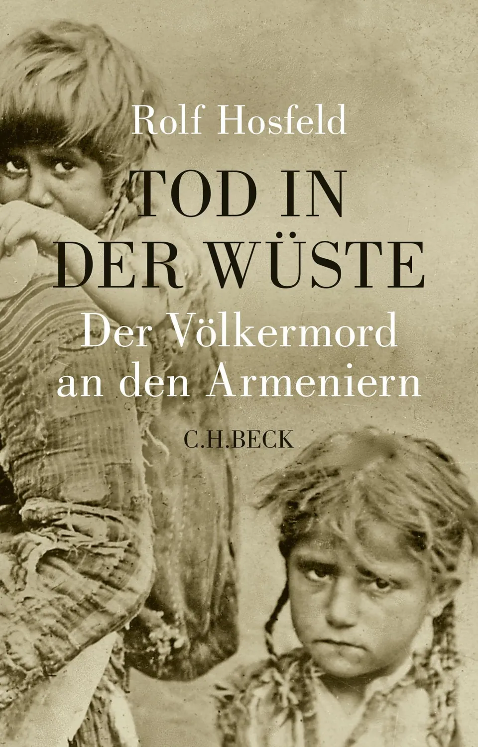 c-h-beck-tod-in-der-w-ste-der-v-lkermord-an-den-armeniern-fundierte-darstellung- image 1