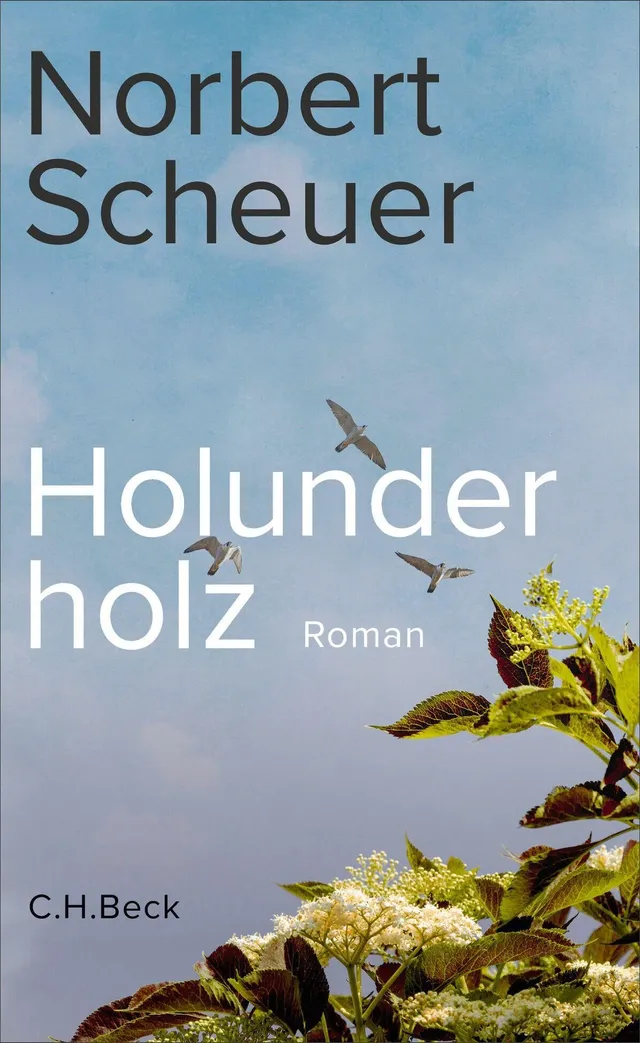 c-h-beck-holunderholz-roman-taschenbuch-beck-paperback image 1