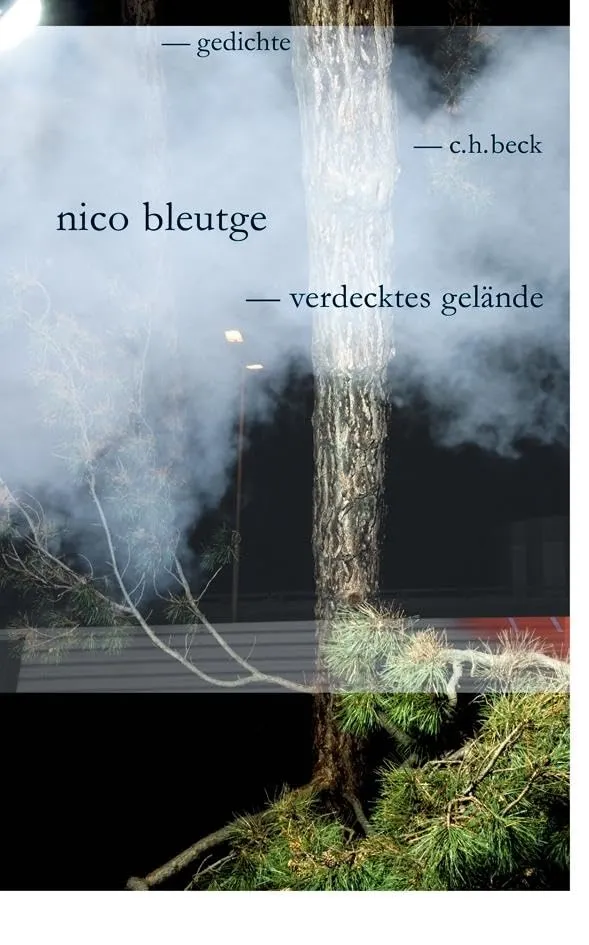 c-h-beck-verdecktes-gel-nde-gedichte-gedichtband-paperback image 1