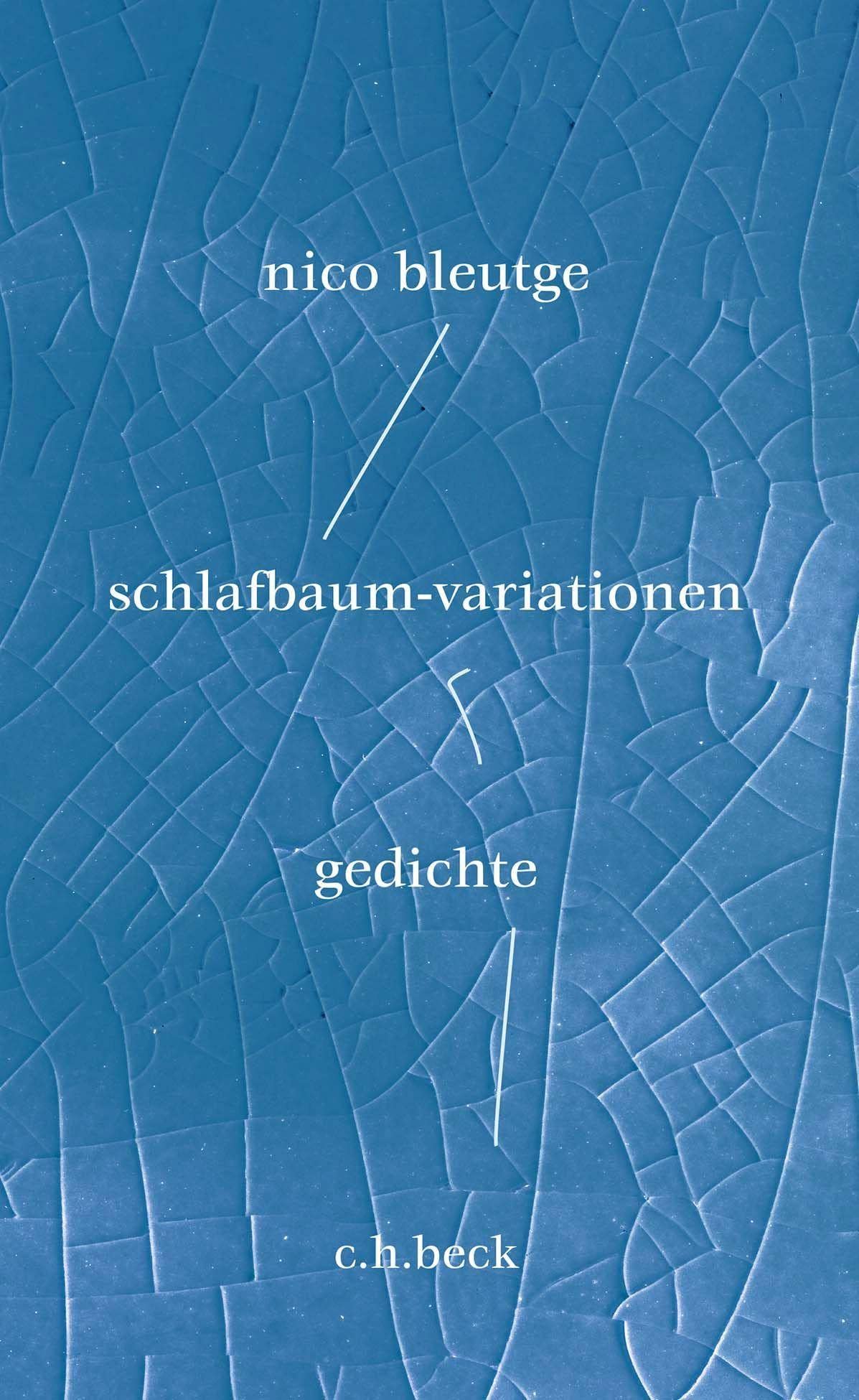 c-h-beck-schlafbaum-variationen-gedichte-paperback image 1